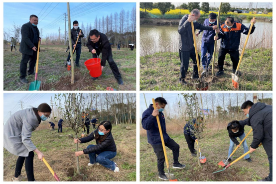 交通产业k8凯发如皋港板块召开“春风又绿江岸，绿色开展同行”主题党日活动